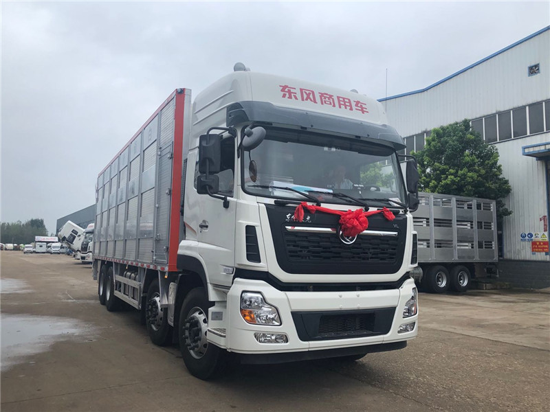 中威東風天龍前四后八9.6米運豬車